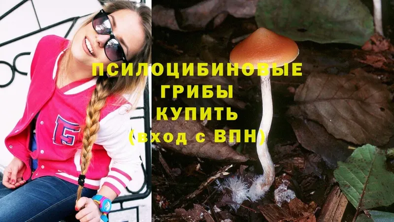 Псилоцибиновые грибы Cubensis  Оса 